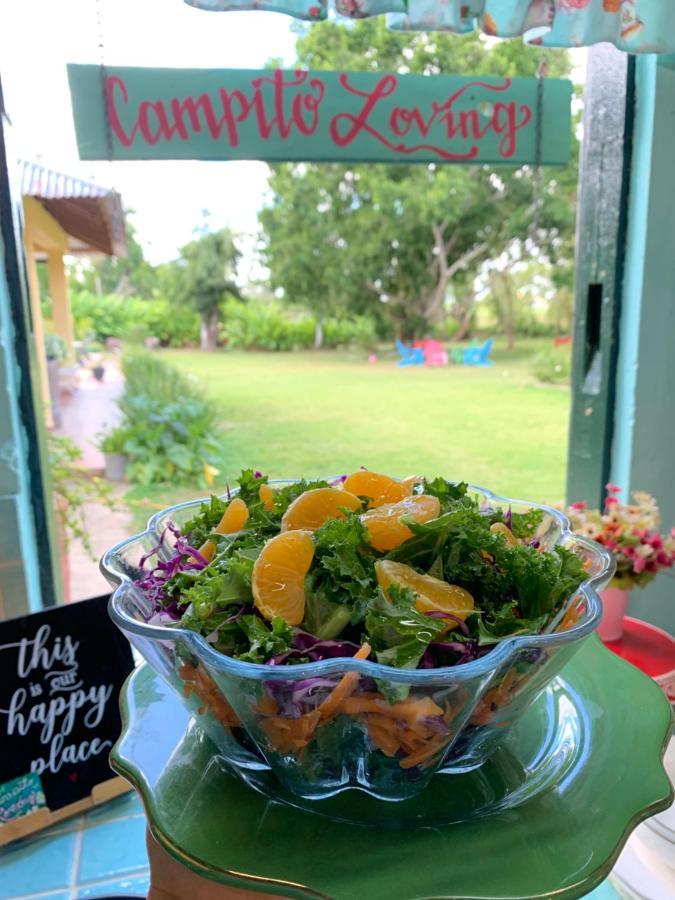 Campito Loving Bed & Breakfast Higuey Dış mekan fotoğraf