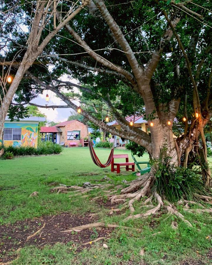 Campito Loving Bed & Breakfast Higuey Dış mekan fotoğraf