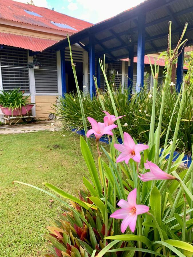 Campito Loving Bed & Breakfast Higuey Dış mekan fotoğraf