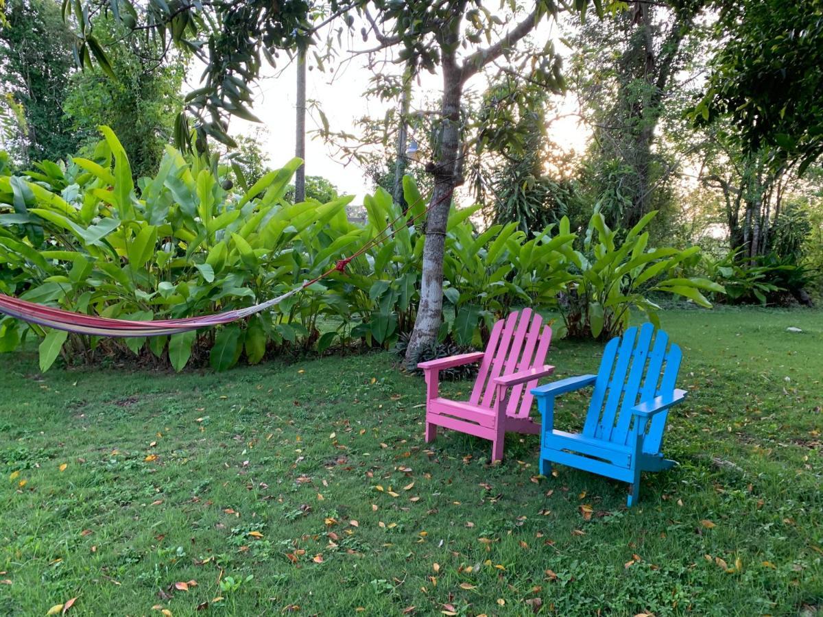 Campito Loving Bed & Breakfast Higuey Dış mekan fotoğraf