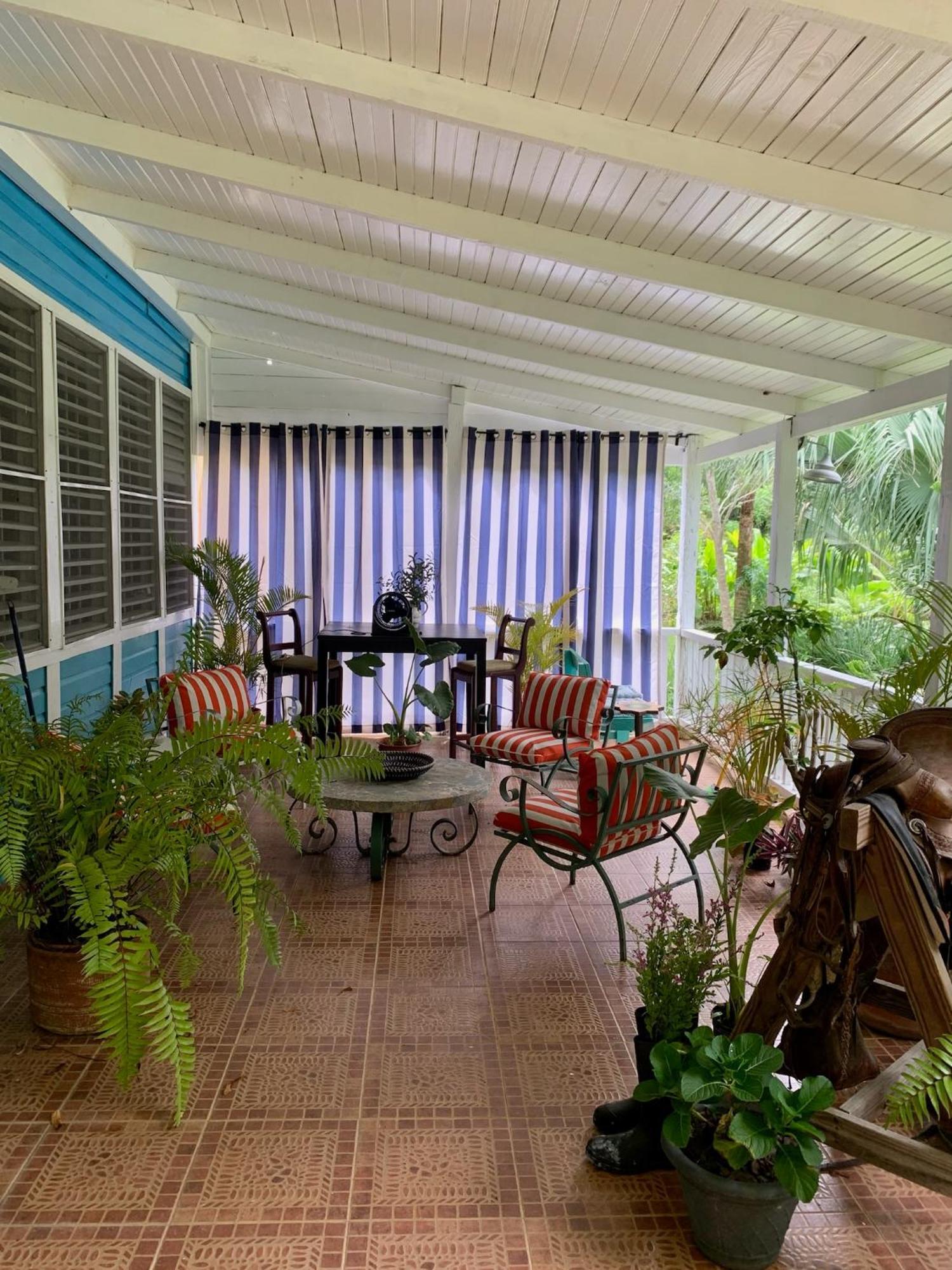 Campito Loving Bed & Breakfast Higuey Dış mekan fotoğraf