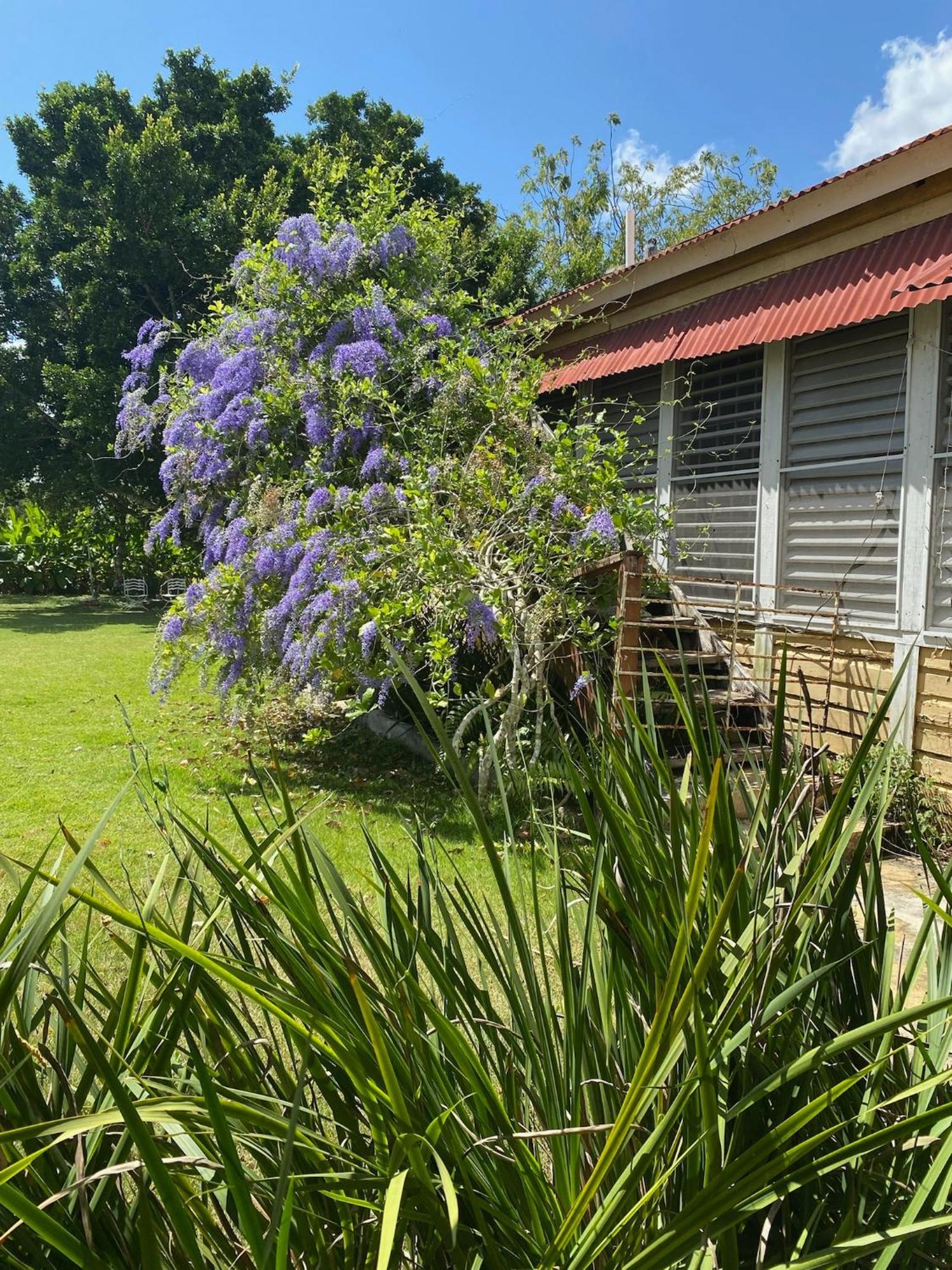 Campito Loving Bed & Breakfast Higuey Dış mekan fotoğraf