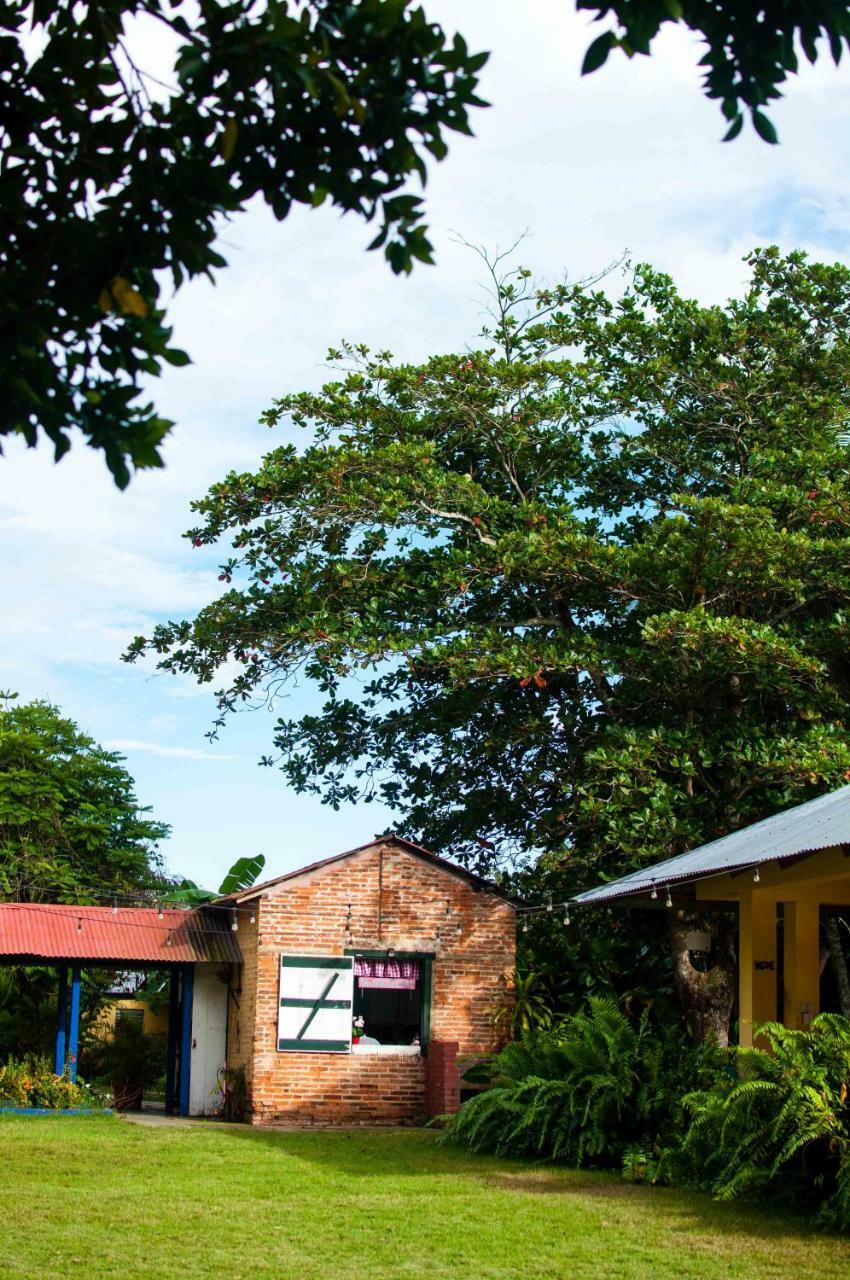Campito Loving Bed & Breakfast Higuey Dış mekan fotoğraf